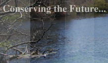 Conserving the Future...